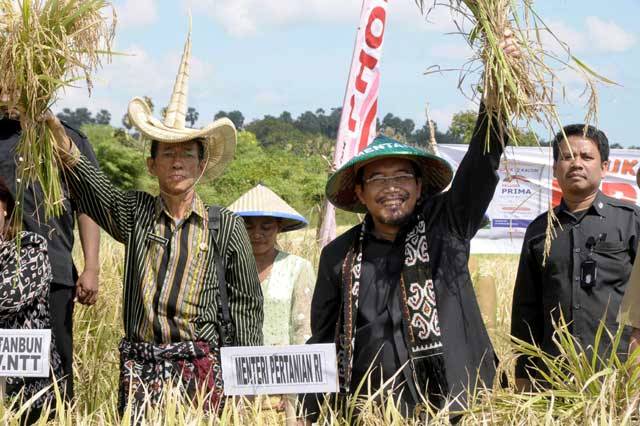 Terobosan Ditjen Tanaman Pangan Penuhi Kebutuhan Pangan Nasional